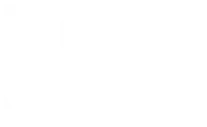DG真人