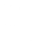 SA真人